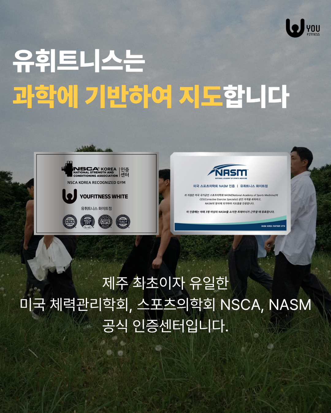 5e15720efcdf140fbc4d0909417d7025_1767577