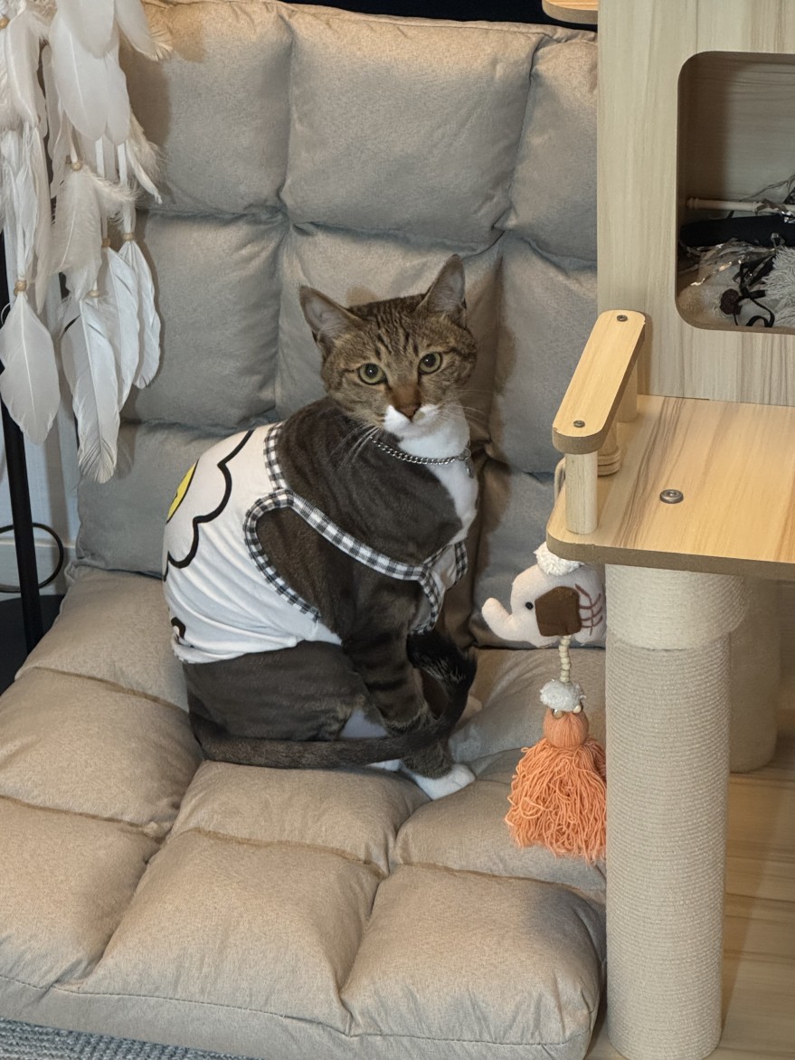 62e95019738c52a135cb186566c4e465_1771578