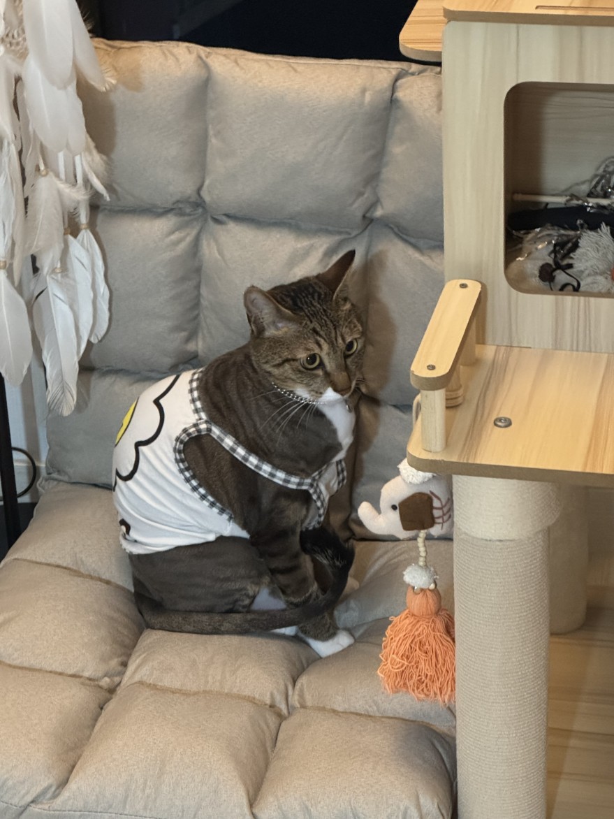 62e95019738c52a135cb186566c4e465_1771578