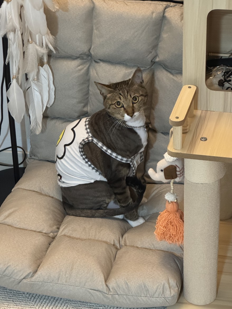 62e95019738c52a135cb186566c4e465_1771578